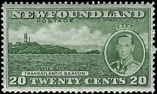 NEWFOUNDLAND   #240 MNH (1)