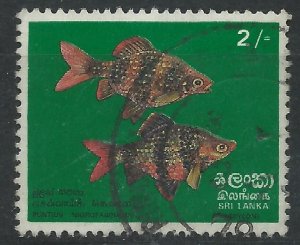 Sri Lanka 1972 - 2r Black Ruby Barb - SG597 used