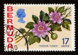 Bermuda #322 used