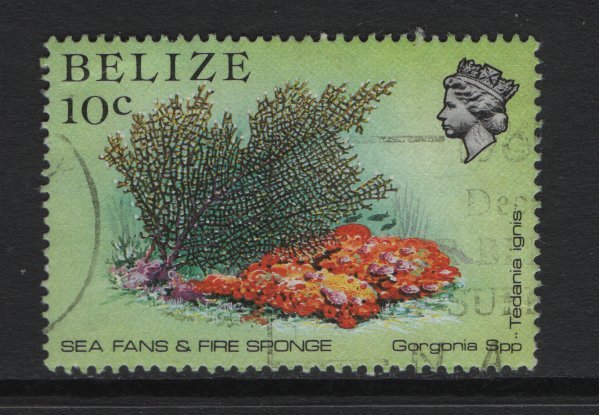 Belize   #705  used   1984 marine life 10c