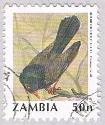 Zambia Bird 50 (AP112720)