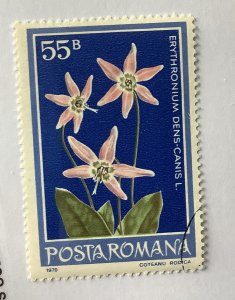 Romania 1979 Scott 2824 CTO - 55b,  Protected Flowers,  Dog,s-tooth violet