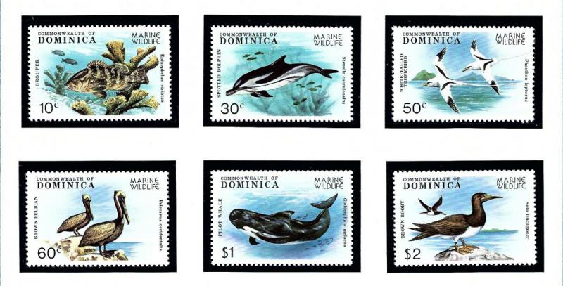 Dominica 618-23 MNH 1973 Marine Wildlife