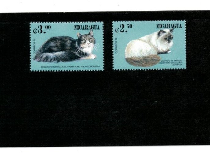 Nicaragua 1999 - Cats - Set of 2 stamps - Scott #2318-19 - MNH