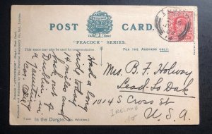 1909 Dublin Ireland Great Britain Picture Postcard Cover To USA In The Dargle