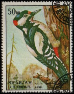 Sharjah sw1281 - Cto - 50d Great Spotted Woodpecker (1972)