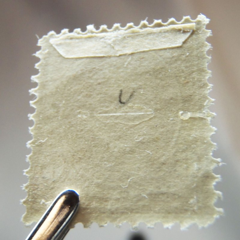 US 1895 # 256 dull brown 6¢ Garfield Mint MH OG Fresh Stamp CV$160