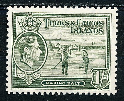 Turks & Caicos Islands #86A Single MNH