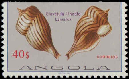 Angola #617-630, Complete Set(14), 1981, Sea Shells, Never Hinged