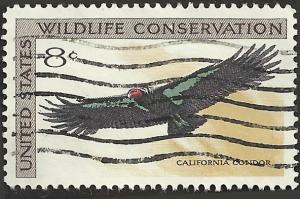 # 1430 USED CALIFORNIA CONDOR