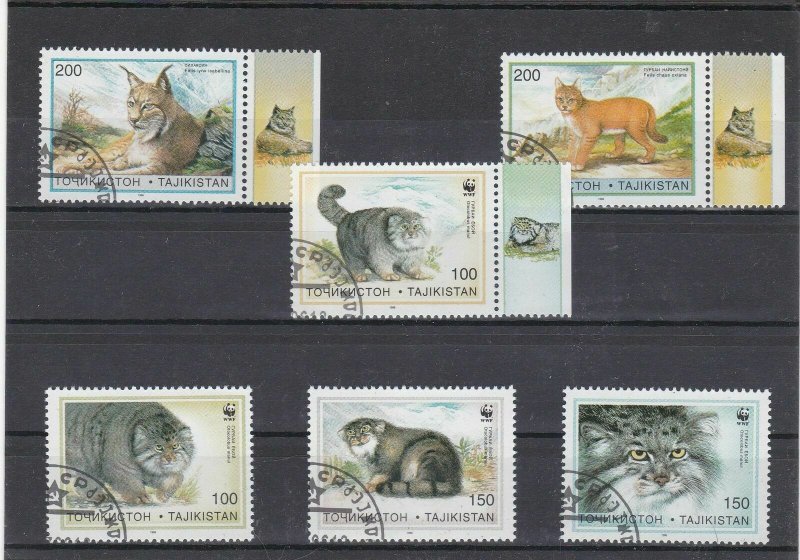 Tajikistan Cancelled Cats Stamps Ref 26195