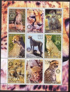 Eritrea 2003 Wild Cats Cheetahs ( I ) Rotary Club Sheet MNH Private