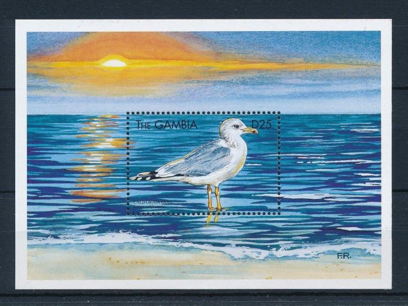 [31831] Gambia 1999 Birds Vögel Oiseaux Ucelli  Gull MNH Sheet