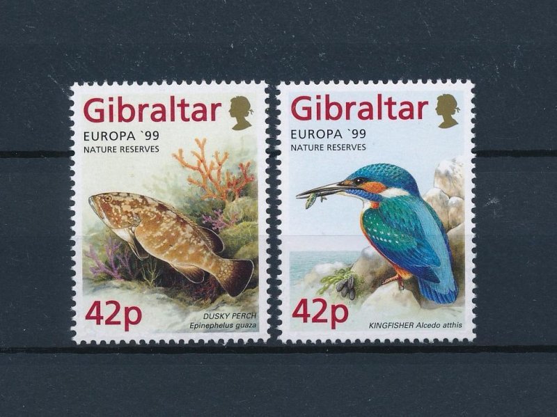 [47658] Gibraltar 1999 Marine life fish Bird Kingfisher From set MNH