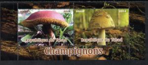 Chad 2014 Fungi #2 perf sheetlet containing 2 values unmo...