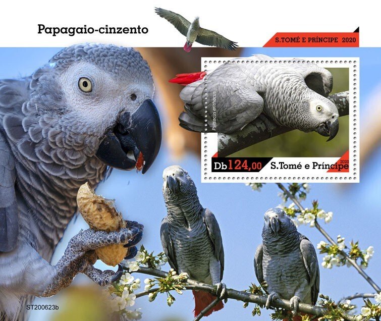 SAO TOME - 2020 - Grey Parrots - Perf Souv Sheet -Mint Never Hinged