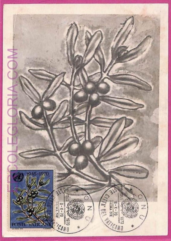 ag3514 - VATICAN - POSTAL HISTORY - Maximum Card - 1970 UNO Olives-