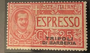 Italy offices in Turkish empire, Tripoli special delivery stamps, SC E1 1909 NH