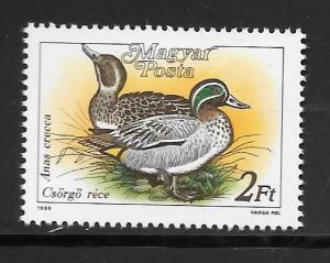 Hungary  #3136 MNH Crecca Ducks Single