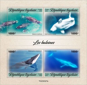 TOGO - 2023 - Whales - Perf 4v Sheet - Mint Never Hinged