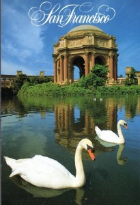 POSTCARD California - San Francisco - The Palace of Fine Arts - Unaddressed