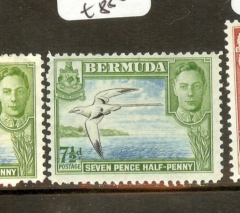 BERMUDA (B0602BB) KGVI  BIRD  SG114C  MOG