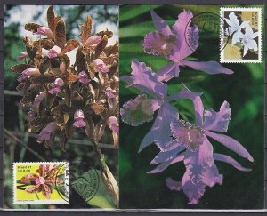 Brazil, Scott cat. 2121-2122. Orchid values on 2 Maximum Type Cards. ^