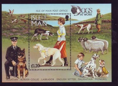 Isle of Man Sc 722 1996 Dogs stamp souvenir sheet mint NH