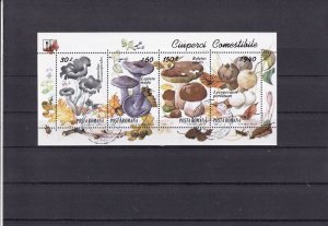 SA24b Romania 1994 Edible Mushrooms used sheet