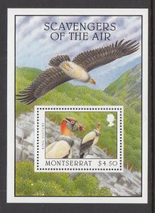 Montserrat 920 Birds Souvenir Sheet MNH VF