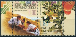 Bosnia & Herzegovina Plants Stamps 2020 MNH Iva Grass Cultural Heritage 2v Set