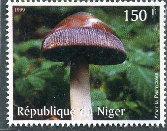 Niger 1999 MUSHROOMS FUNGI 1 value Perforated Mint (NH)