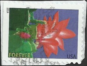 # 4865 USED CHRISTMAS CACTUS