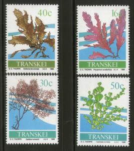 Transkei 1988 Seweeds Flower Plants Trees Flora Sc 199-202 MNH # 4307