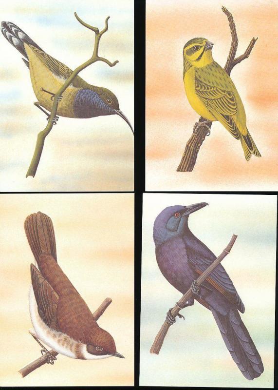 ST THOMAS & Prince Is 1983 BIRDS Wildlife Cards Maxi Unused (22 Items) [D328]