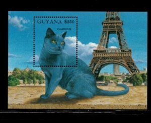 Guyana 1992 - Cats - Souvenir Sheet Stamp - Scott #2591 - MNH