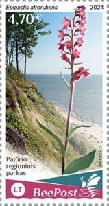 BEEPOST LITHUANIA - 2024 - Flora - Perf Single Stamp - MNH - Private Issue