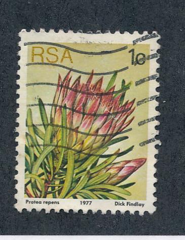 South Africa 1977  Scott 490 used - 1r, Sugarbusch