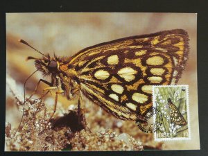 insect butterfly maximum card Jersey 94691