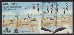 British Indian Ocean Territory 238 Birds Souvenir Sheet MNH VF