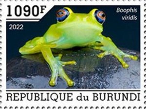 Burundi - 2022 Green Bright-eyed Frog - Stamp - BUR2201097a