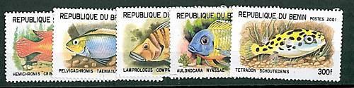 Bolli 0002  BENIN -  2001 PESCI - FISH - MNH 5 Values