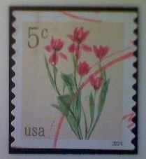 United States, Scott #5905, used(o) coil, 2024, Tulips, 5¢