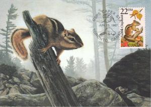 #2297 Eastern Chipmunk Maxi FDC