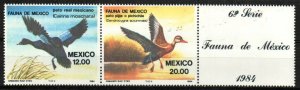 Mexico Stamp 1346-1347  - Aquatic birds