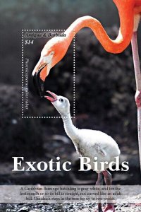 Antigua 2019 - Exotic Birds Flamingo - Souvenir Stamp Sheet - Scott #3567 - MNH