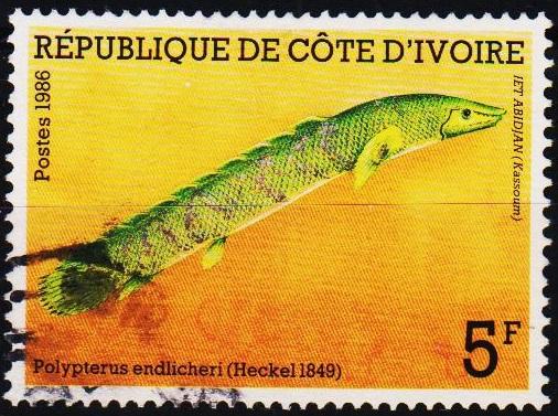 Ivory Coast.1986 5f  S.G.907 Fine Used