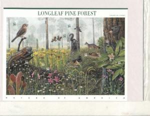 3611 Long Leaf Pine Forest