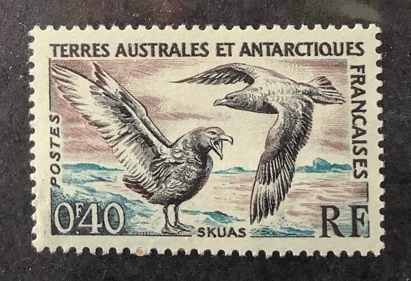 French South and Antarctic 1959 Scott 13 MH - 40c, Birds, Skuas
