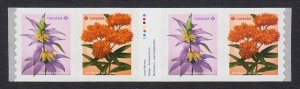 New! = Coil GUTTER strip of 4 stamps = WILDFLOWERS MNH Canada 2024